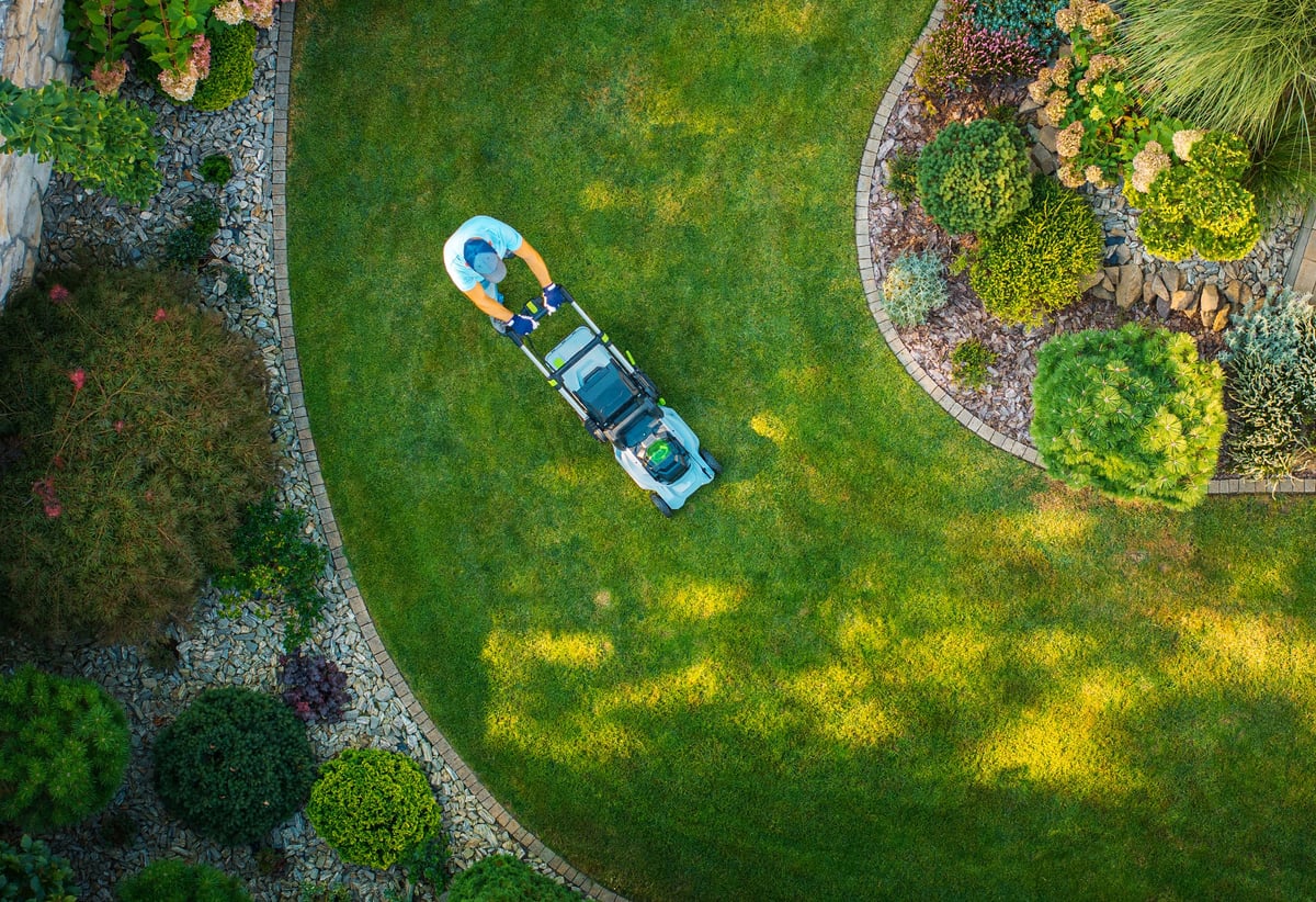 A lush, well-kept green lawn with tidy flower beds