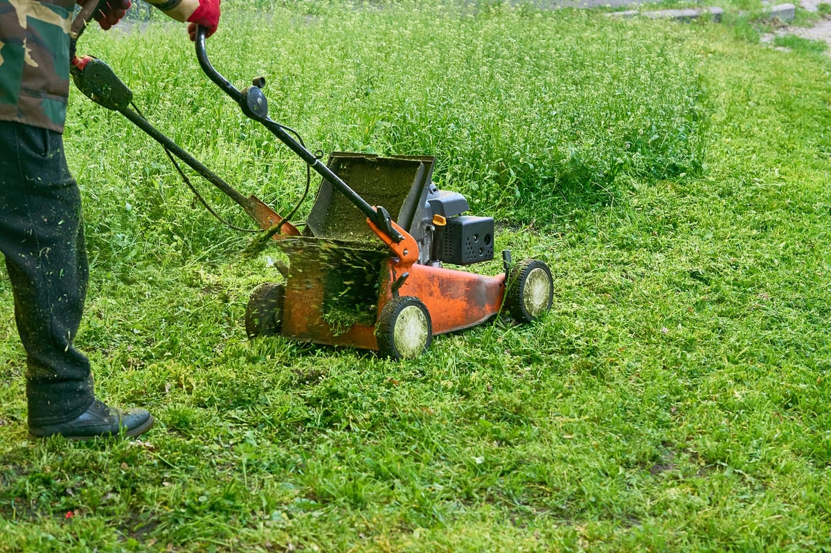 A powerful machine ready to cut through yard waste and debris